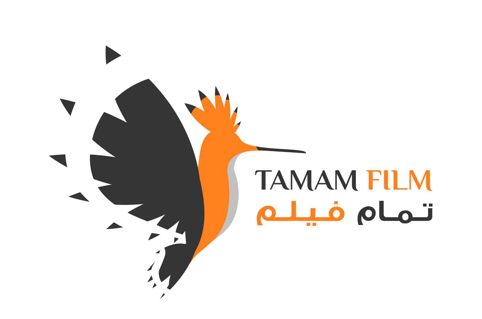 Tamam Film LLC