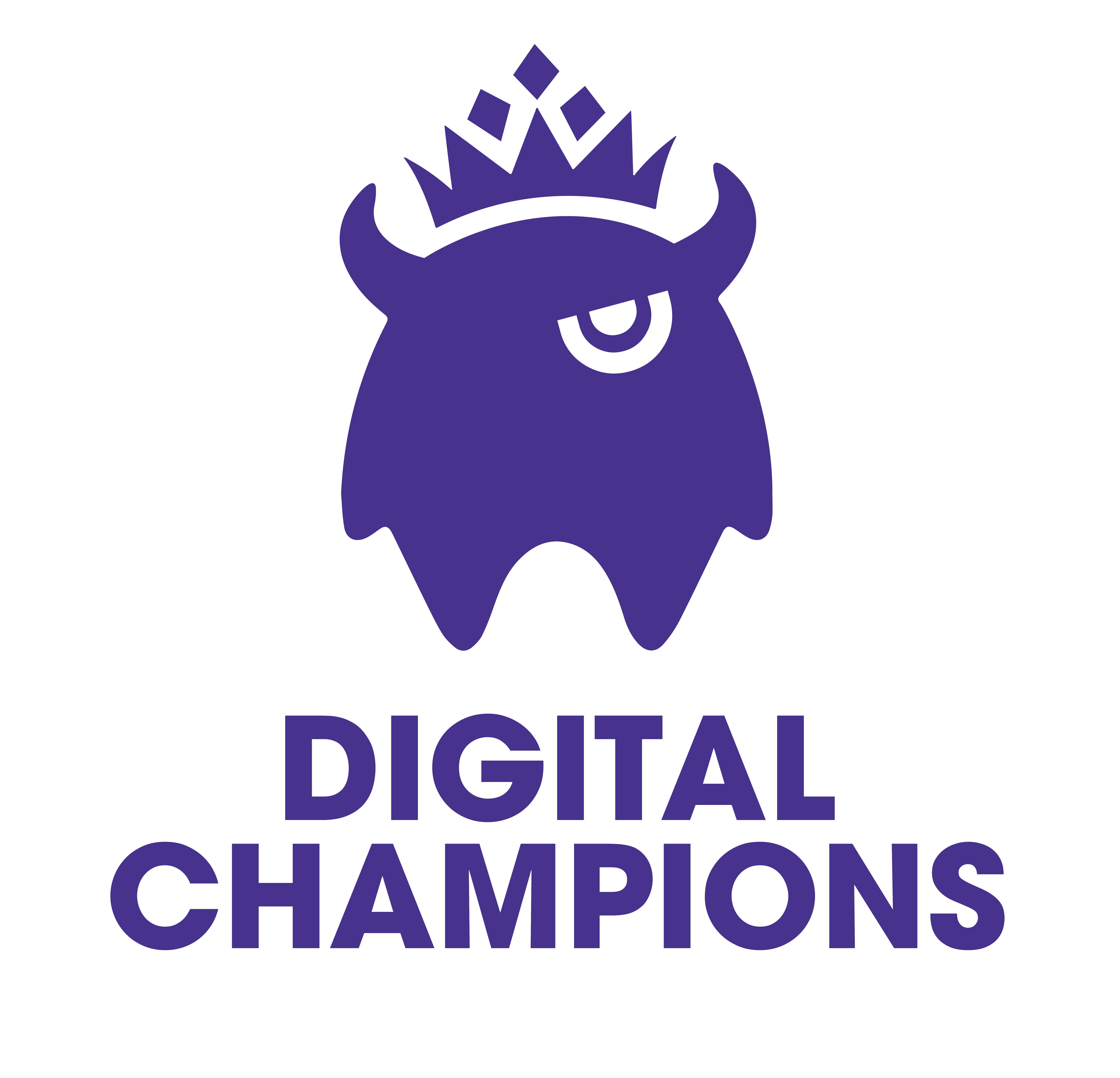 Digital Champions LLC