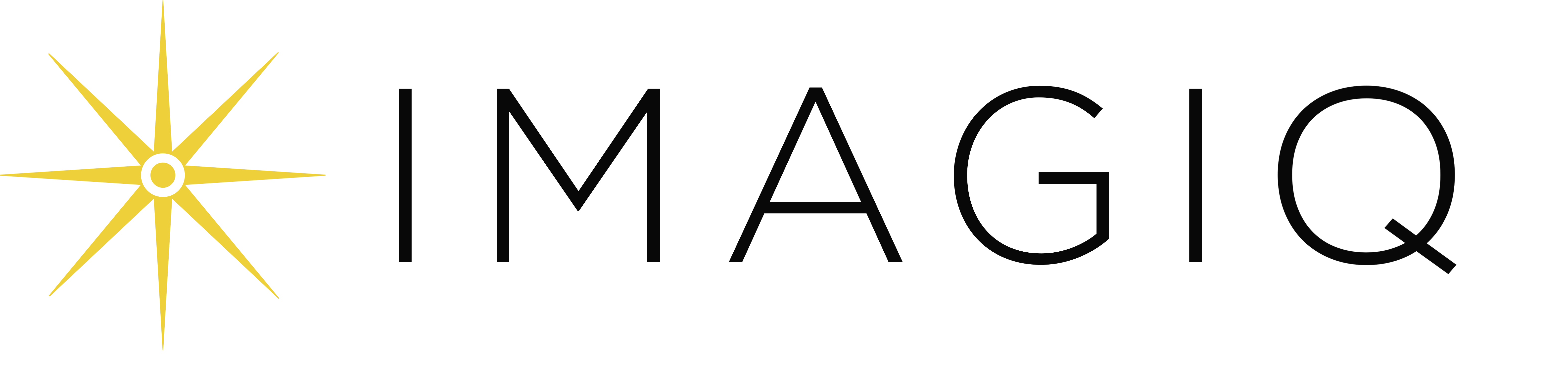 ImagicQ